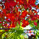 Image for article titled Complementary Colors 1